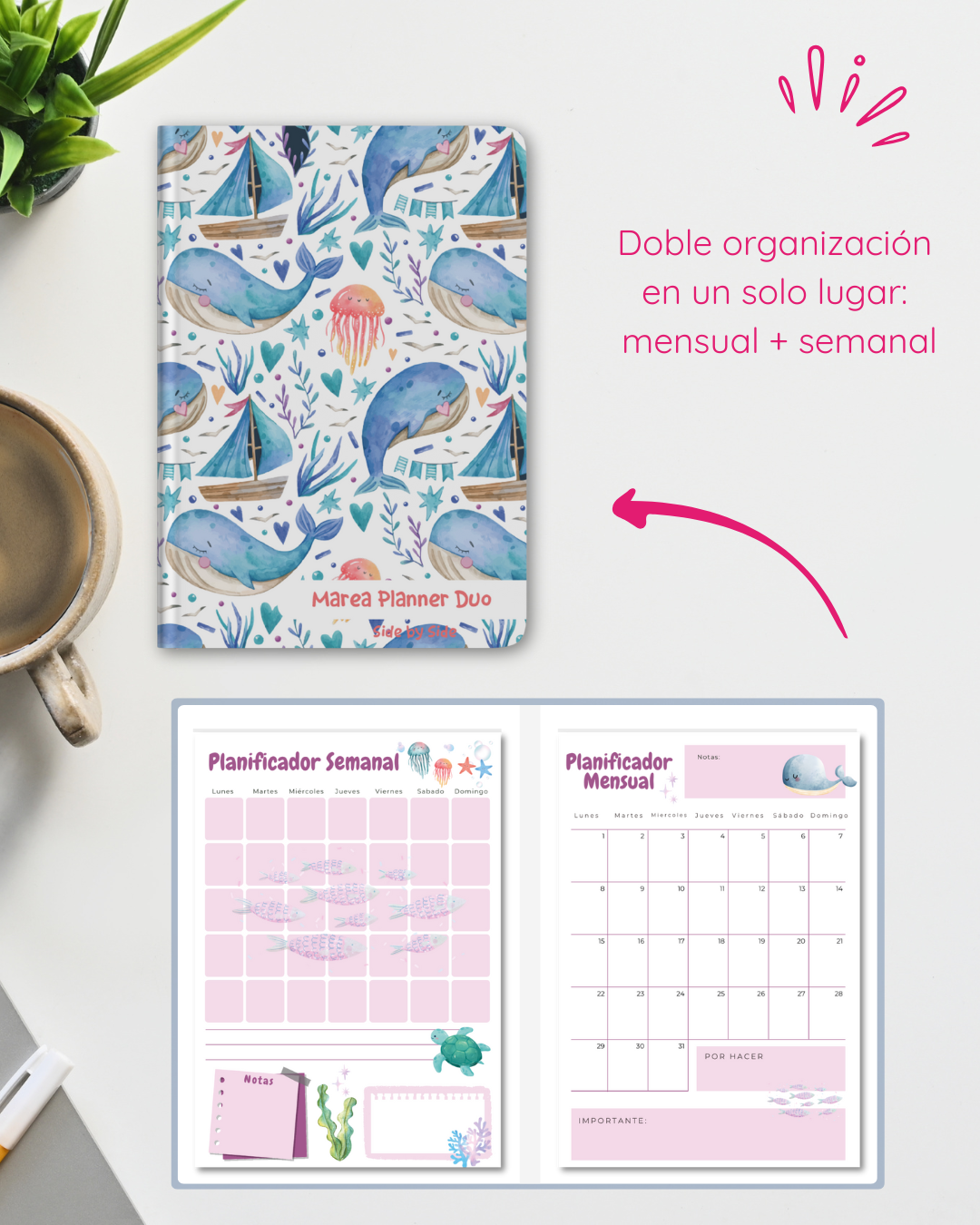 Side By Side Organizador